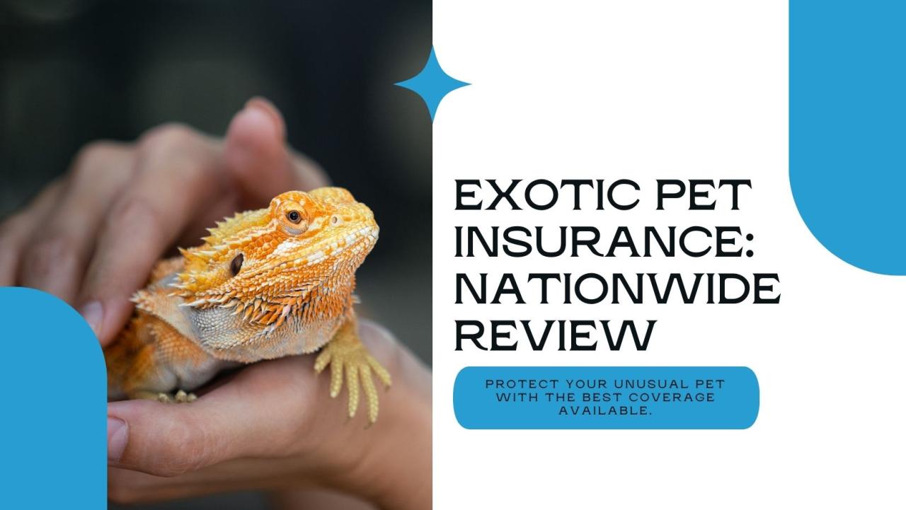 Can You Get Insurance for Exotic Pets?