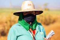 The Role of Fair Trade in Ecofashion Industry Unveiled