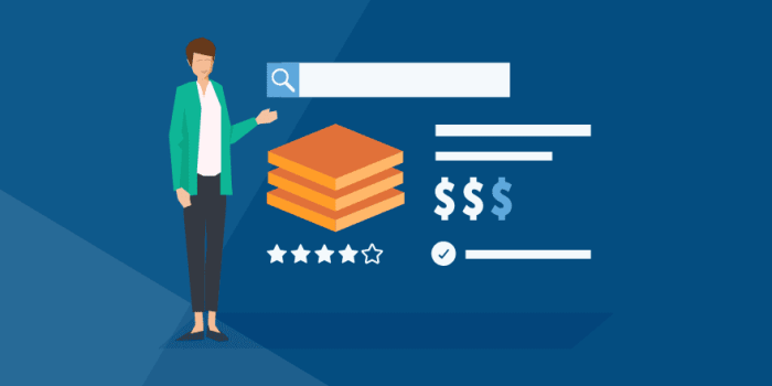 Things to Avoid When Buying Software Online for Success