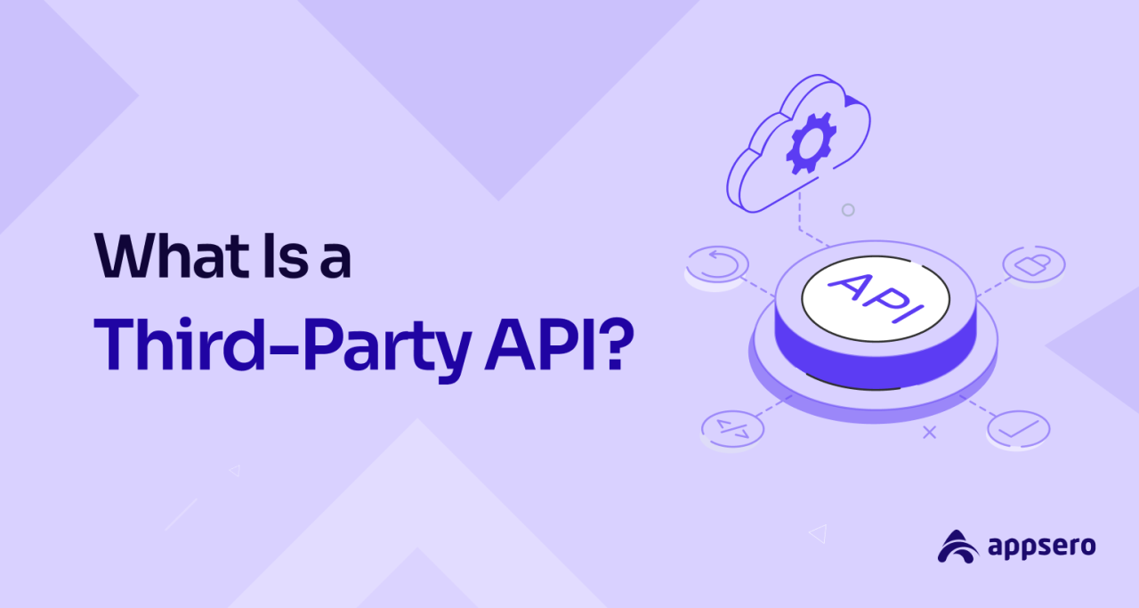 Managing Third-Party APIs in Bought Apps