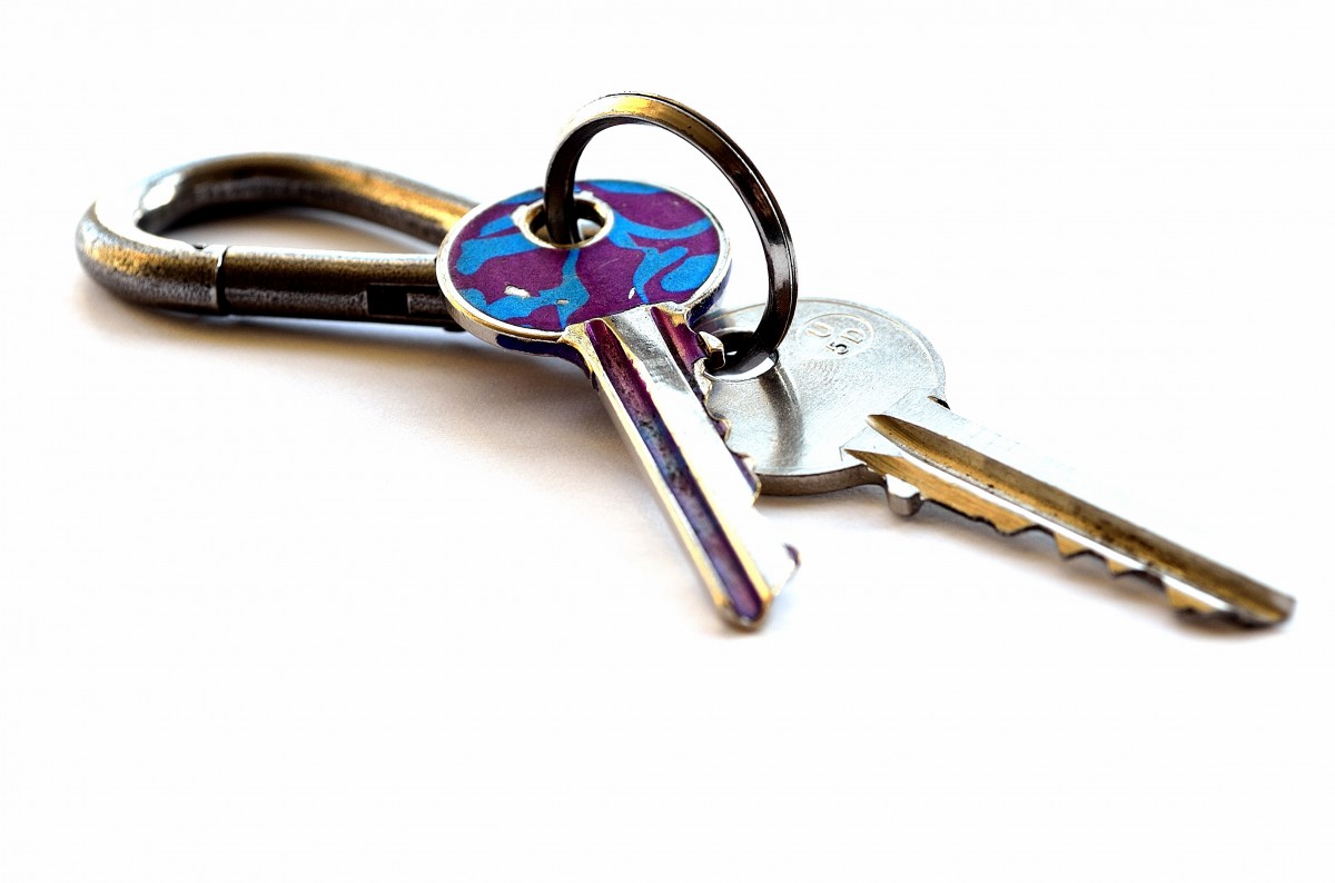 Key Features to Look for in Quality Hand Tools