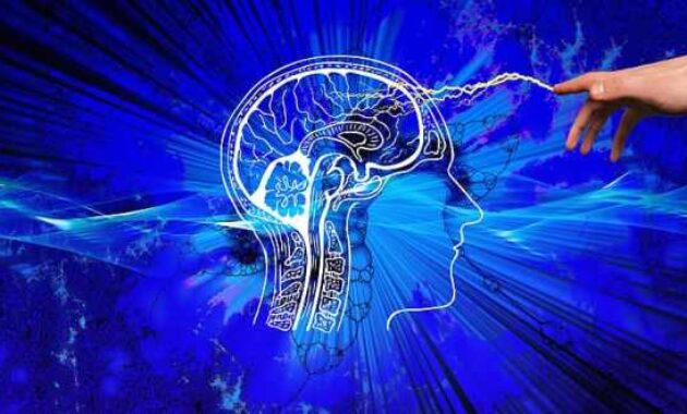 The Psychology Behind Online Buying Decisions Unveiled