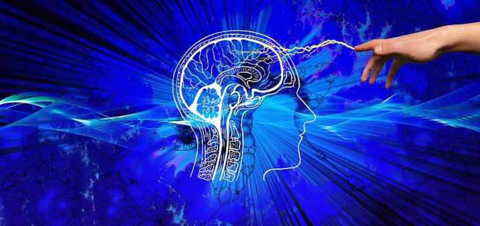 The Psychology Behind Online Buying Decisions Unveiled